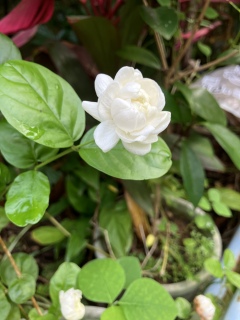 �����ւ�