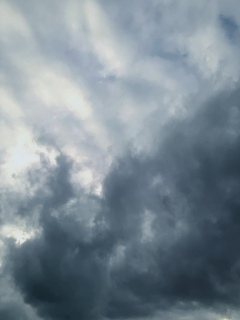 ���m�h���c