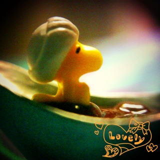 ���낢�듮��